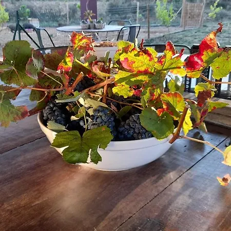 Çiftlik konaklama Quinta Do Outono Armamar