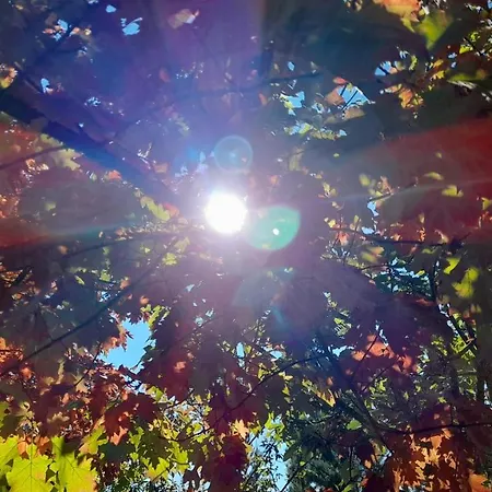 Farm stay Quinta Do Outono *