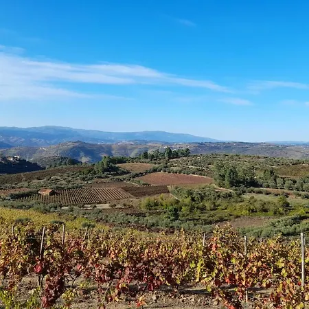 Quinta Do Outono Фермерский дом