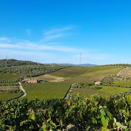 Alojamento de Turismo Rural Quinta Do Outono *