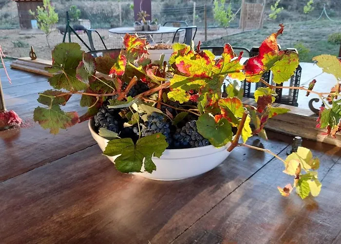 Bauernhof Quinta Do Outono Armamar