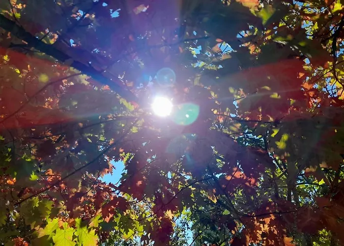 Κατάλυμα σε φάρμα Quinta Do Outono *