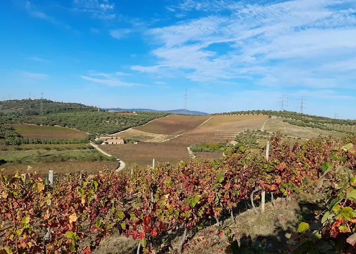 Quinta Do Outono * Armamar