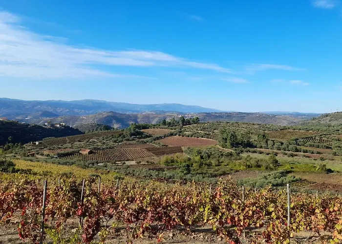 Quinta Do Outono Bauernhof