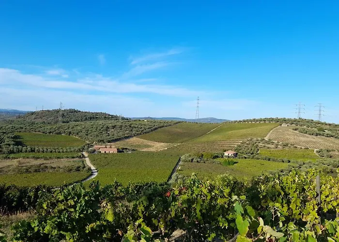 Κατάλυμα σε φάρμα Quinta Do Outono *